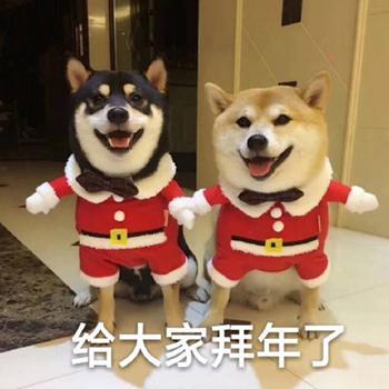 新年专属的表情包来了哟