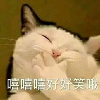 日常吸猫表情包无水印