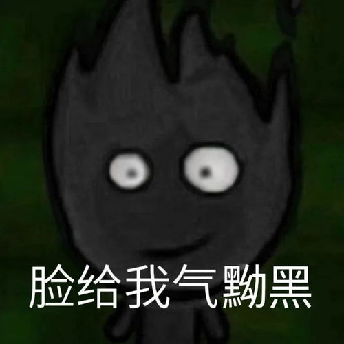 鸡哔你猫咪表情包