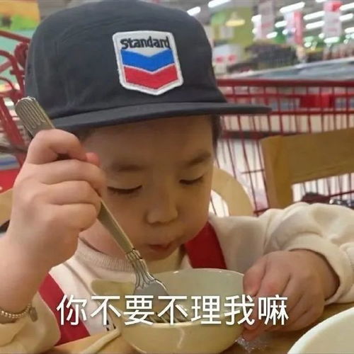 表情包你不要不理我嘛