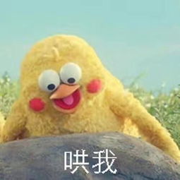 求解答的表情包图片生气