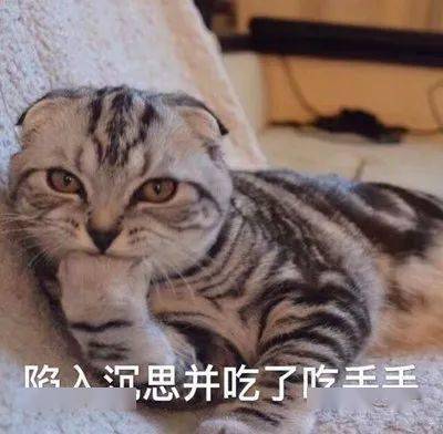厦门上市公司将迎来首位90后董秘身价已超5亿元,有望继续提升