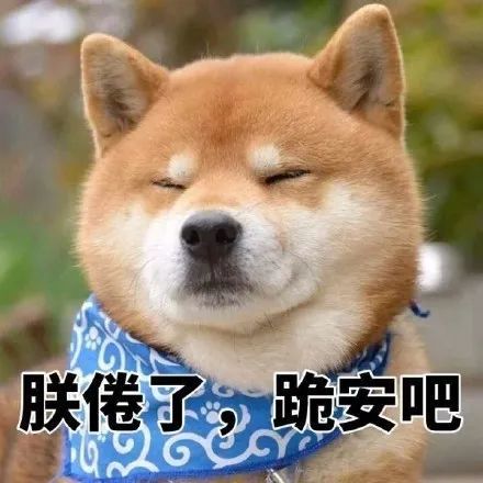搞笑柴犬表情包,你说这话,你自己信