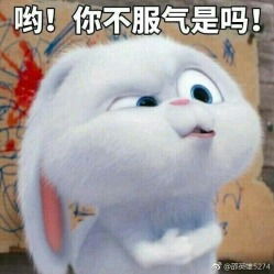 壹品蒸鲜东二环泰禾店