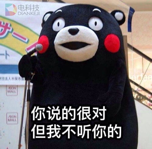 羽泉解散不只因为亲情白百何事件或促成陈羽凡投资事业转正