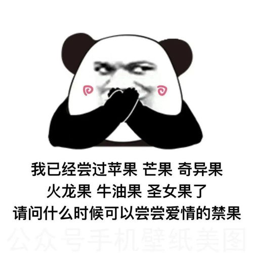 沙雕熊猫头表情包精选