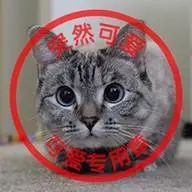 官方盖章一枚印章的成长史