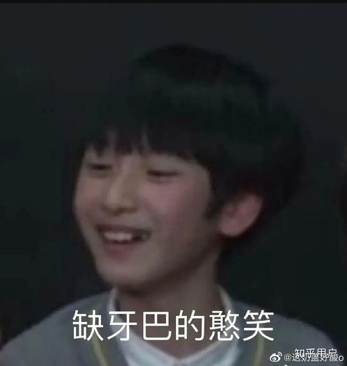 有哪些沙雕tnt时代少年团的表情包