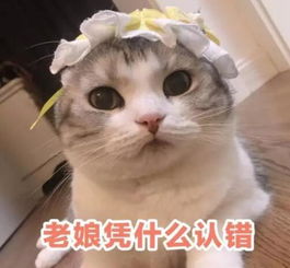 爆笑段子据说两个人在一起久了,会有夫妻相