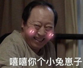 真宝藏老男孩倪大红,倪小孩倪红红你觉得哪个更好