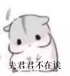 仓鼠抱瓜子可堆糖,美图壁纸兴趣社区
