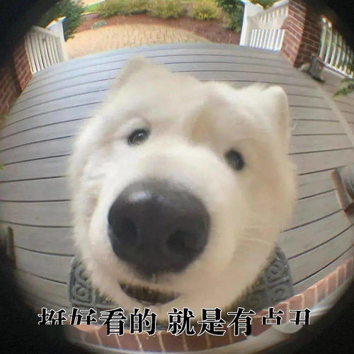 废话文学表情包丨听君一席话,如听一席话