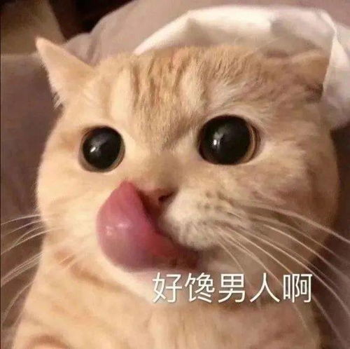 表情包丨我馋了