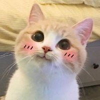 猫小表情包
