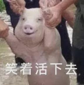 英语四六级今天查分,本次起将提供电子成绩报告单