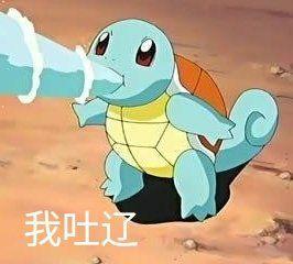 有什么杰尼龟的表情包吗
