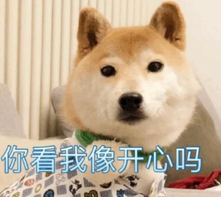 舍友羽绒服刮破了,心疼地贴上了创可贴哈哈哈哈哈