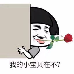 一条小团团表情包大全雪板