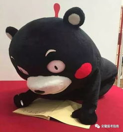史上最全复习法送给你了看完跪了