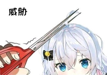 哔哩哔哩