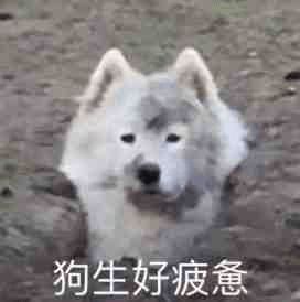 进厂打工你知道真实的厂里有多残酷吗