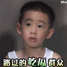 小小春gif动图表情包完整版下载
