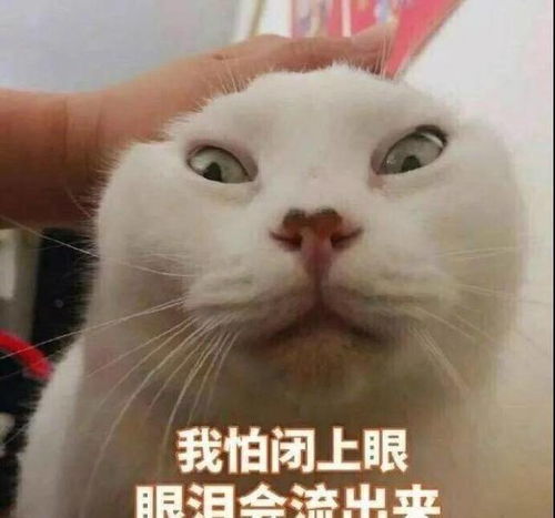 开心一刻遇见你就笑,这些经典笑话够笑到过年了