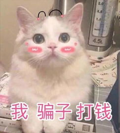 你开枪吧反正我的心早就死了