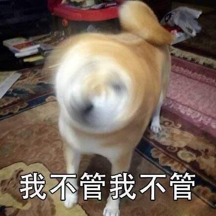 普京牵狗会晤安倍是否符合外交礼节