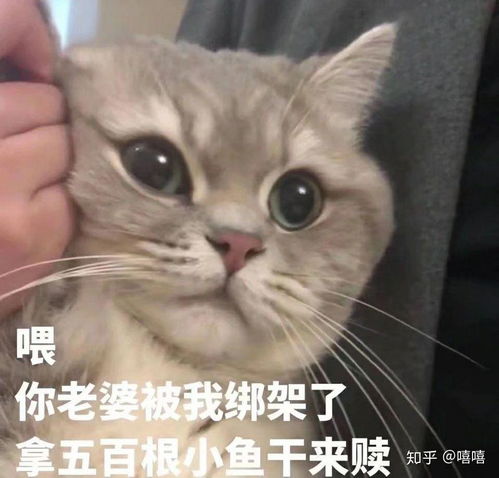 狗头的表情包什么意思沙雕