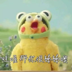 祝你鸡年大吉吧