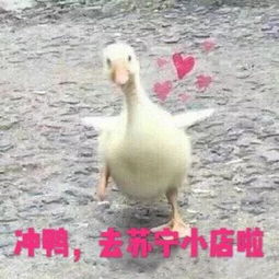 苏宁小店可以刷翼支付啦