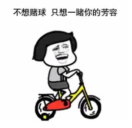 天台挤不下往我心里挤挤表情包下载世界杯版土味情话表情包飞翔下载
