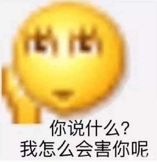 关于颜色釉陶瓷猫碗的讨论