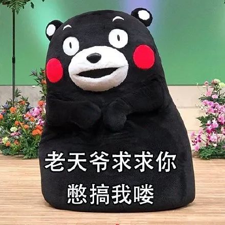 表情包熊本熊吃货的自我安慰只要我吃的够快脂肪就追不上我