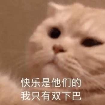 认错男友后,我抓到了他的...画面过于离谱