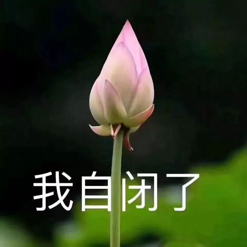 广州最新13大富人区曝光虽然没住过但你一定曾经路过...