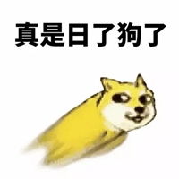 真是日了狗了的图片这几天真是日了狗了图片