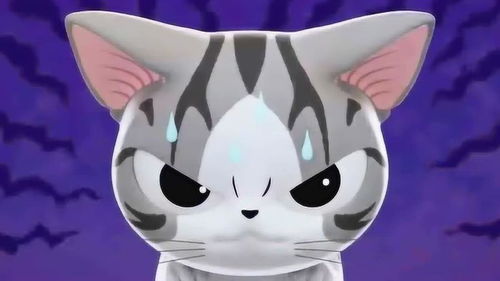 甜甜私房猫小奇你怎么了好像有点不开心