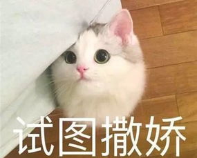 留言有礼那些坑人的网红香水,原来这么难闻