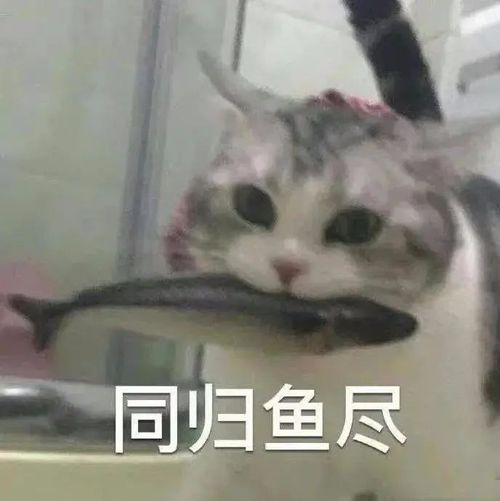 表情包你振作一点