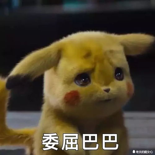 皮卡丘表情包天呐真人皮卡丘太可爱了,嫌弃的人怎么想的