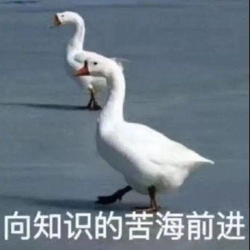 考研太苦,上岸太难送你表情包防身用