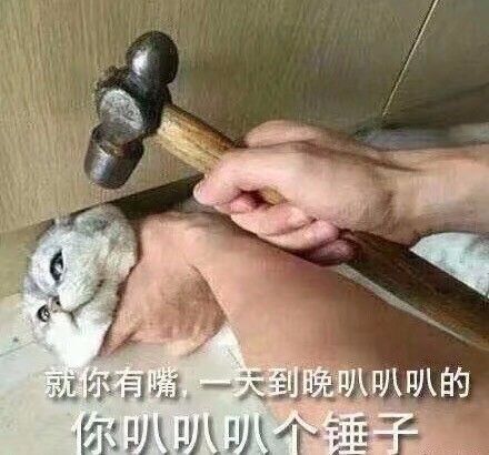 不在学校的黄金小长假,你想山大了吗丨大山说
