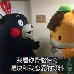 单身狗们看过来熊本熊我来海伦陪你过七夕啦