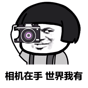 现在正经人谁还用相机拍照啊