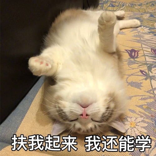 幽默段子笑话经理做了个痔疮手术,同事们约着一起去医院探望