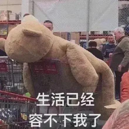 李承鄞曲小枫燕洵元淳在这部剧里都he了