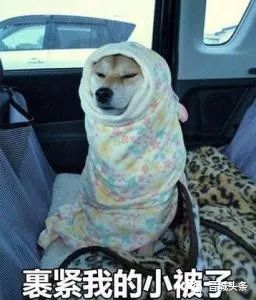 晋城人挺住后天开始又要下雪了,连下3天更让人后怕是