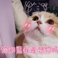 超级可爱的表情包微信头像图片大全